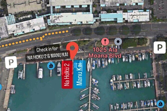 Private Swim and Sail Charter (Kewalo Harbor) - Who Should Book This Tour?