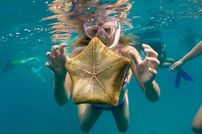 Private Swim and Sail Charter (Kewalo Harbor) - The Sum Up