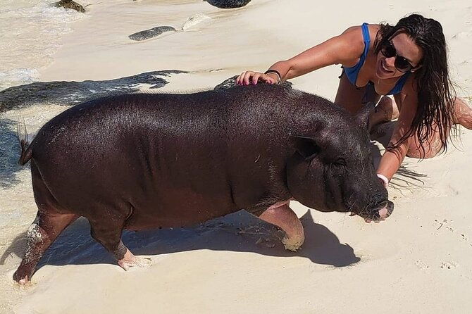 private-swimming-pig-beach-day-50ft-sun-seeker-yacht-1-10-guests