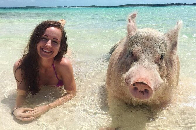 private-swimming-pig-beach-day-50ft-sun-seeker-yacht-1-10-guests