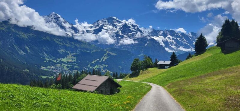 Private Swiss Alps Tour, Lakes, Villages, Waterfalls - Key Points  
