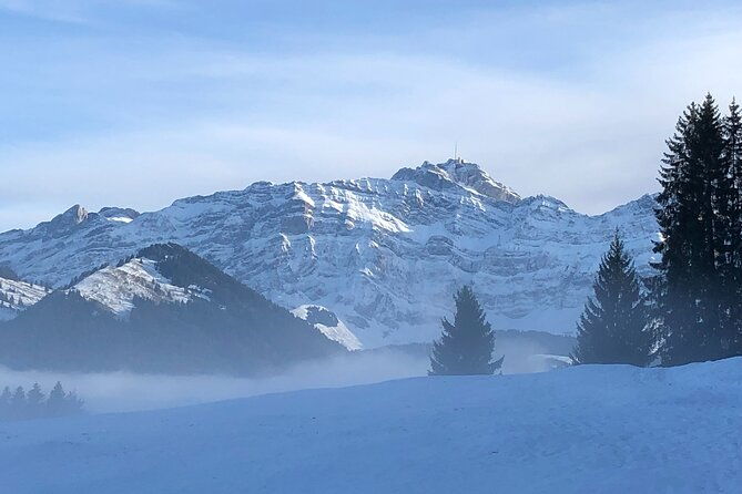 private-swiss-chocolate-cheese-mountain-santis-tour-with-pickup-2