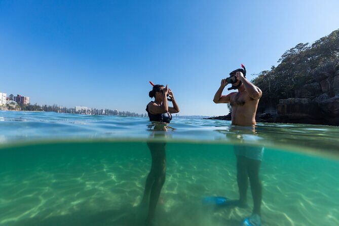 Private Sydney Snorkeling Experience: Explore Cabbage Tree Bay - FAQ