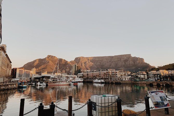 Private Table Mountain, Kirstenbosch and Constantia Wine Tasting. - Authentic Experiences and Insider Insights