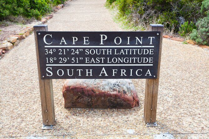 Private Table Mountain Penguins & Cape Point Tour from Cape Town - A Detailed Look at the Tour