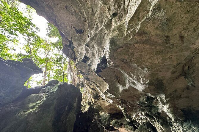 Private Tabon Cave Day Tour from Puerto Princesa City - An Honest Look at the Potential Drawbacks