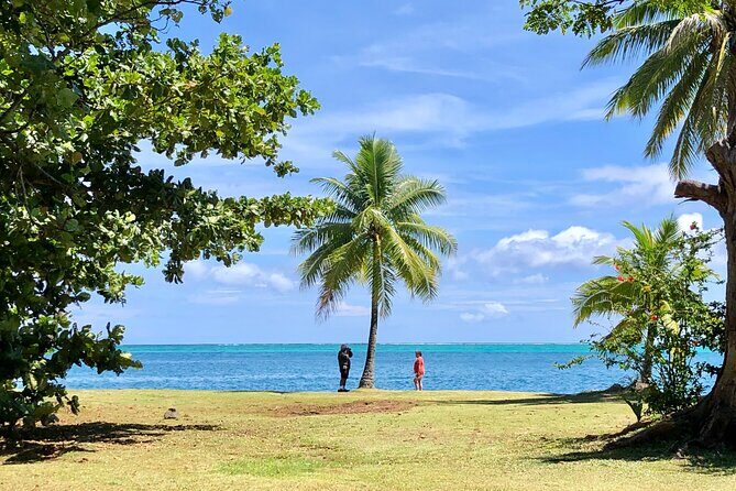 Private TAHITI Half Day Circle Island Tour (Departs 8am or 1pm) - Who Will Love This Tour?