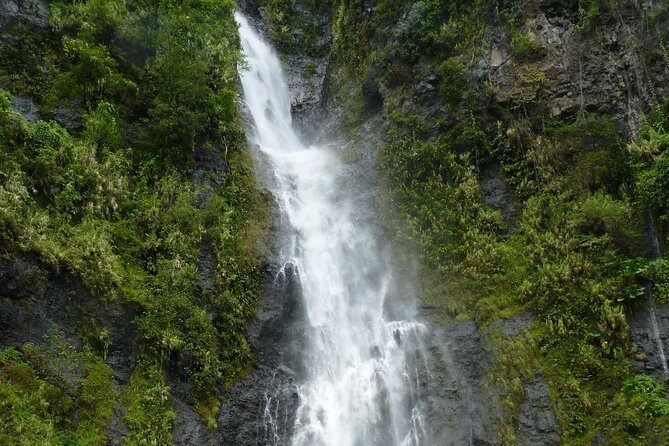 private Tahiti island discovery - Pricing and Value