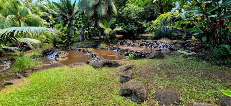 Private Tahiti Island Tour  5.5 Hours - Who Should Consider This Tour?