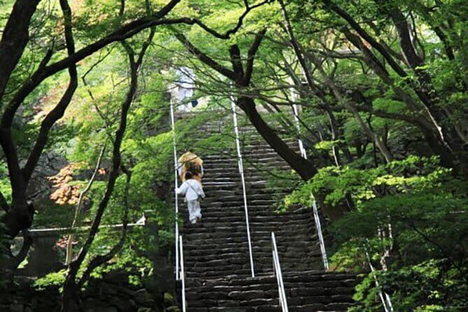 Private Takamatsu Busshozan Onsen Car Rail Tour - Takumikumo Village & Bonsai Culture
