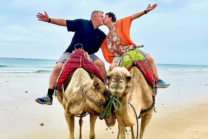 Private Tangier Full day Tour - What to Expect from the Tour