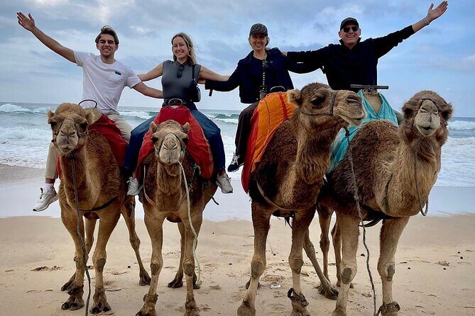 Private Tangier Full day Tour - Key Points