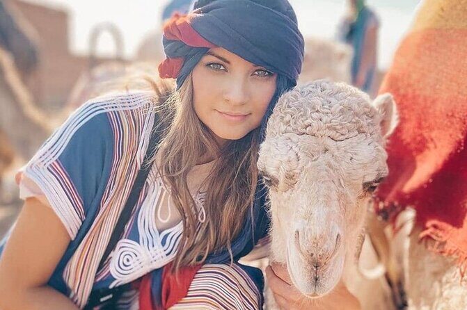 Private Tangier Quad Bike Camel Ride Dinner Show - Authenticity & Insights from Reviews