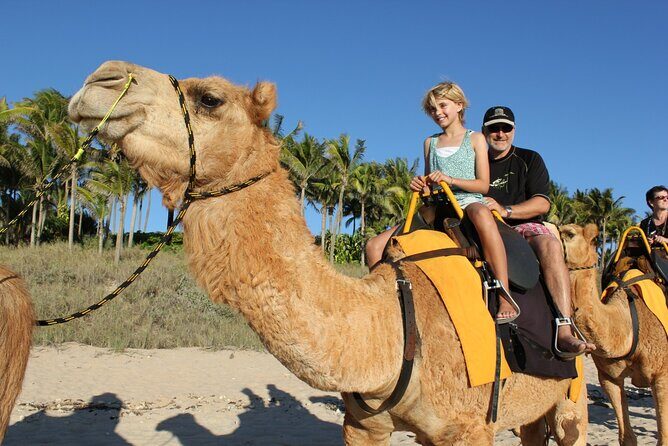 Private Tangier Tour : Culture, Camels, Kasba and Mina walk - Unique Experiences and Practicalities