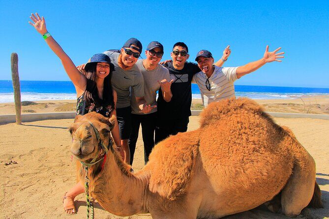 Private Tangier Tour : Culture, Camels, Kasba and Mina walk - The Guide and Review Highlights