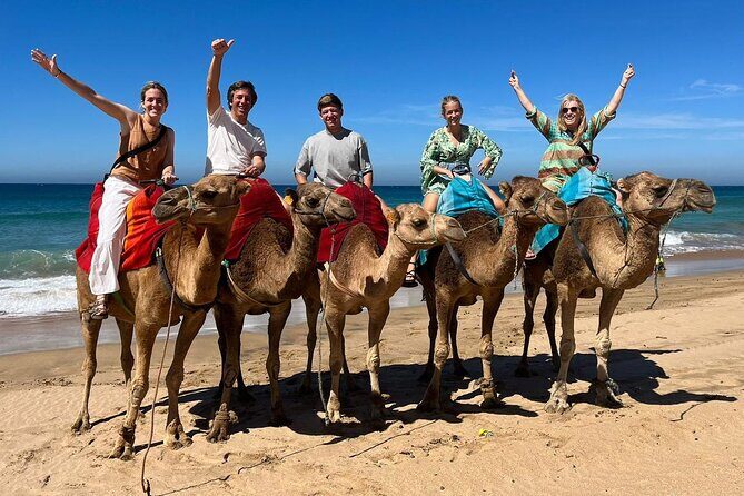 Private Tangier Tour from Ferry or Cruise Ship Including Lunch - Who Should Consider This Tour?