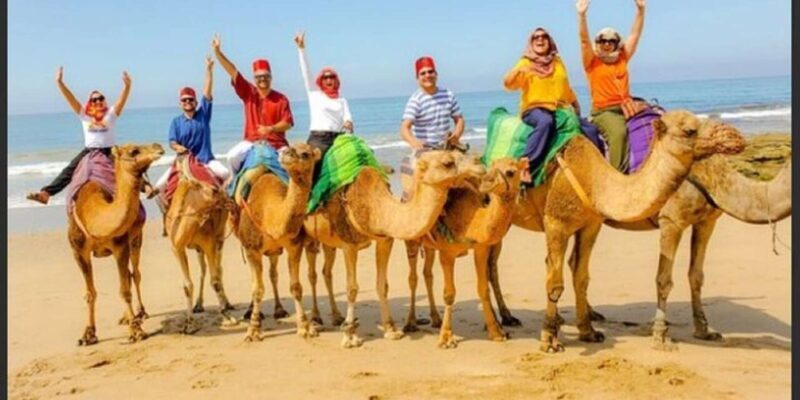 Private Tangier Tour from Gibraltar including Camel & Lunch - Why This Tour Works Well