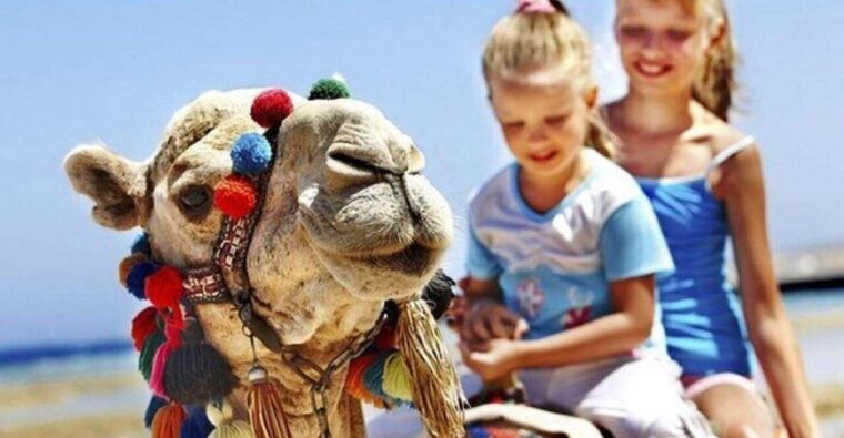 private-tangier-tour-with-lunch-and-camel-ride