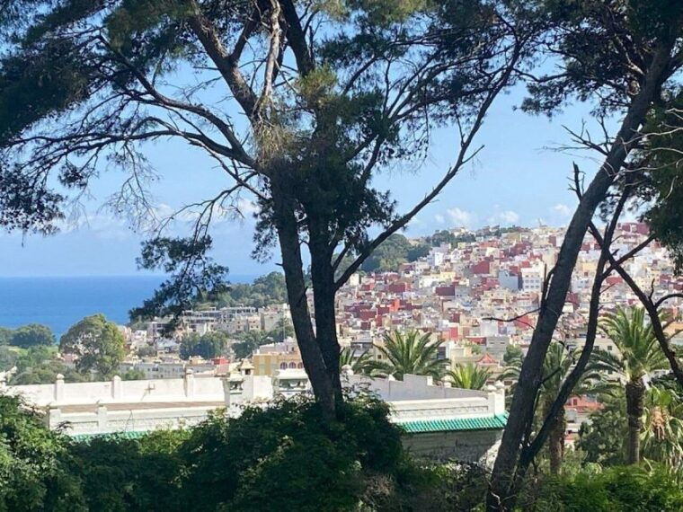 private-tangier-tour-with-lunch-and-camel-ride