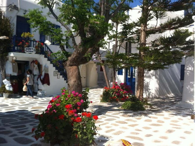 Private: Taste of Mykonos: Panoramic Views & Local Delights - Practical Details: What You Need to Know