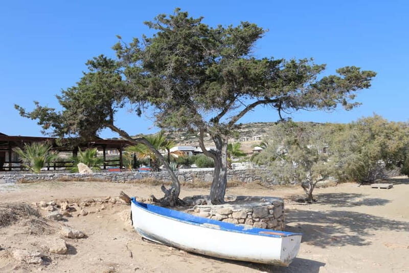 Private: Taste of Mykonos: Panoramic Views & Local Delights - FAQ