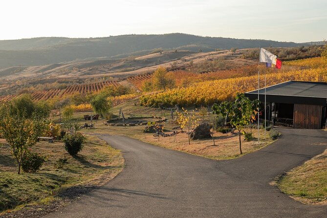 private-tasting-expedition-along-romanias-most-famous-wine-route