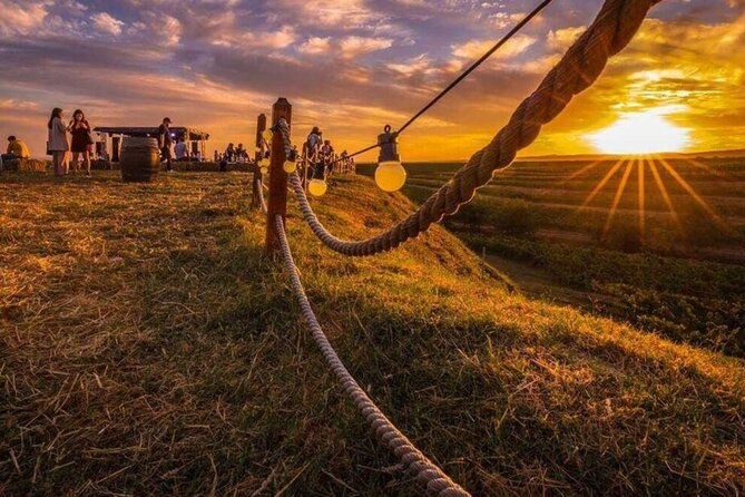 private-tasting-expedition-along-romanias-most-famous-wine-route