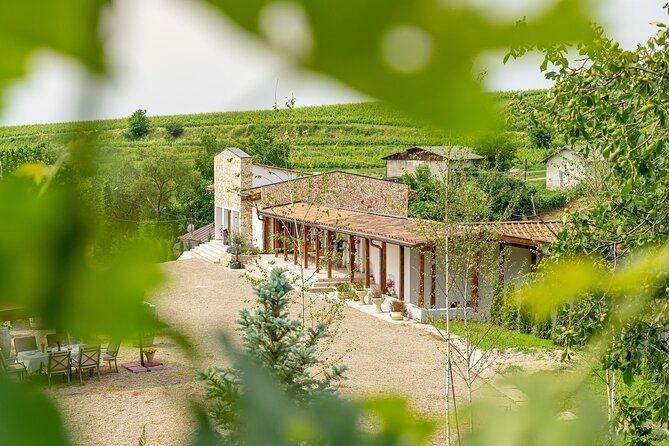 private-tasting-expedition-along-romanias-most-famous-wine-route