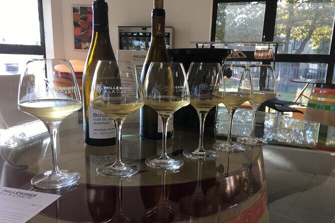 Private Tasting in Beaune : The Best of Burgundy Wines - Private Tasting in Beaune: The Best of Burgundy Wines — A Detailed Review