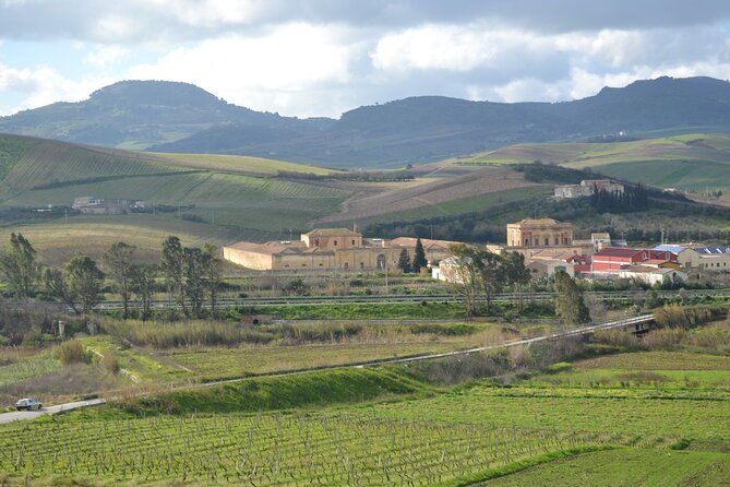 private-tasting-of-extra-virgin-olive-oil-in-sicily