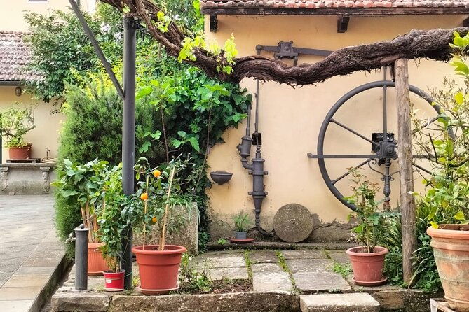 private-tasting-of-organic-wines-in-the-cellar-in-arezzo
