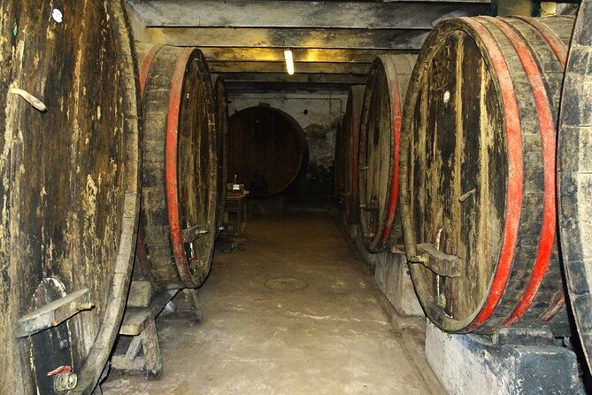 private-tasting-of-organic-wines-in-the-cellar-in-arezzo