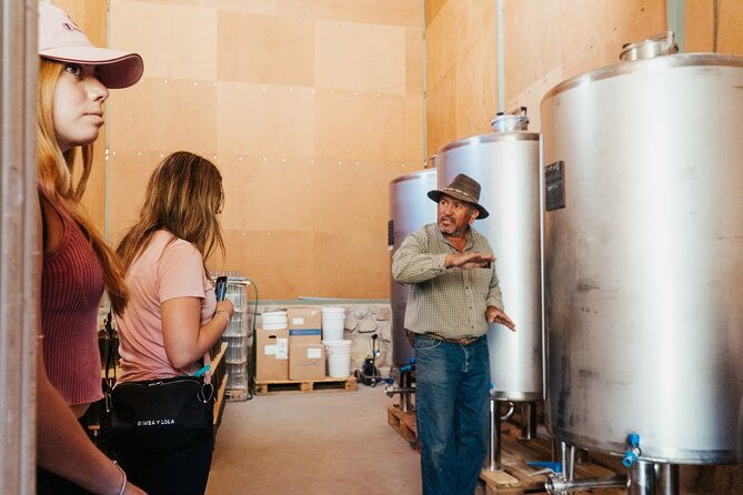 private-tasting-of-piuquenes-wines-in-paihuano