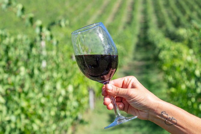 private-tastings-at-the-colombina-agricultural-company