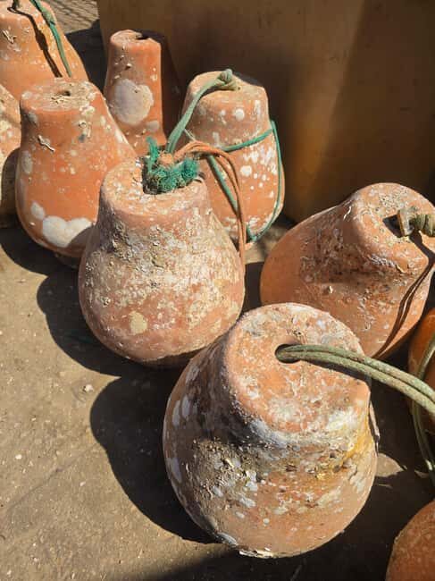 Private Tavira Jeep Tour - Salt Pans, Nature & Santa Luzia - Santa Luzia: The Octopus Capital