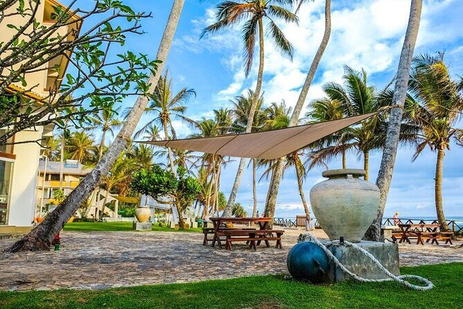 Private Taxi from Sri Lanka Airport (BIA-CMB) to Ahangama Hotels - Additional Insights from Travelers (Based on Reviews)