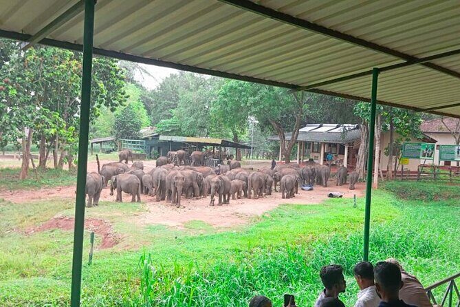 Private Taxi Service Around Sri Lanka with Airport Pickup & Drop - Why Travelers Love This Experience