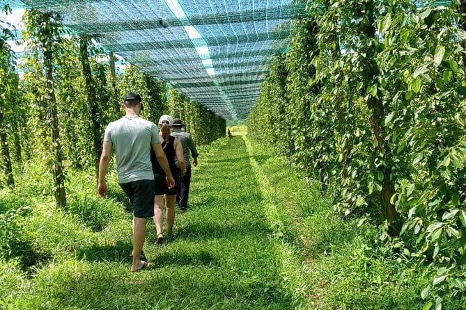 Private Taxi Transfer From Kampot - Phnom Penh City - Booking and Price Analysis