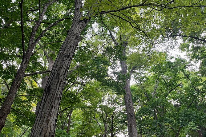 private-temple-tour-with-zazen-meditation