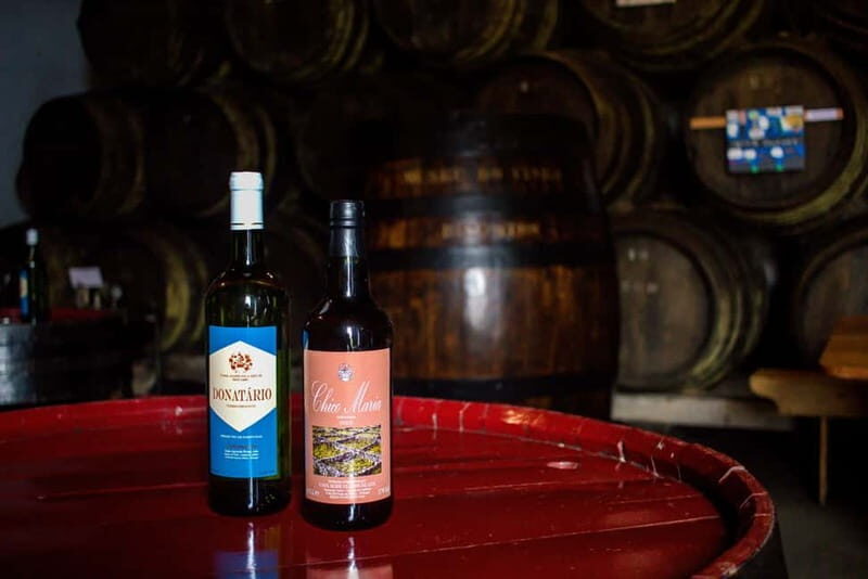 Private Terceira Island Caves: Lava Route - entrances & wine - An In-Depth Look at the Tour