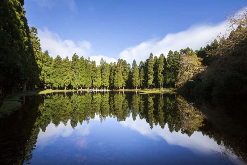 Private Terceira Island Caves: Lava Route - entrances & wine - Who Will Enjoy This Tour?