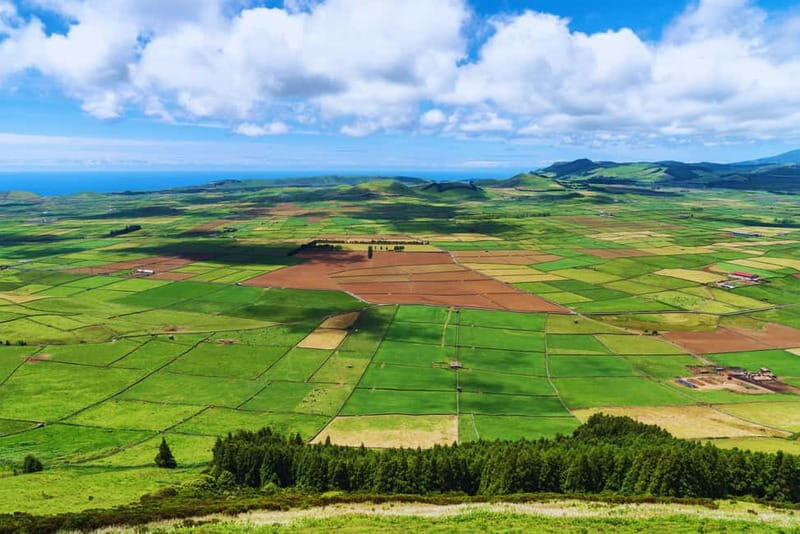 Private Terceira Island Full Day Tour with Cocktail & Tapas - Why This Tour Offers Real Value