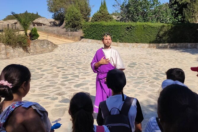 private-theatrical-journey-with-roman-emperor-in-italica