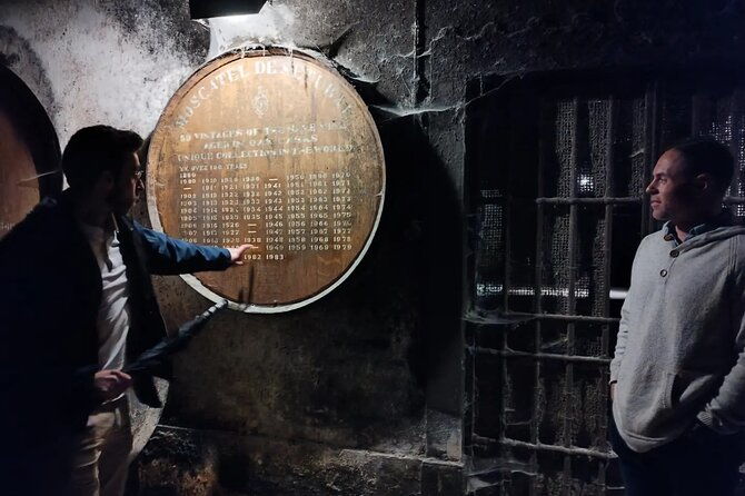 private-tiles-workshop-wine-tasting-and-sesimbra-tour-lisbon