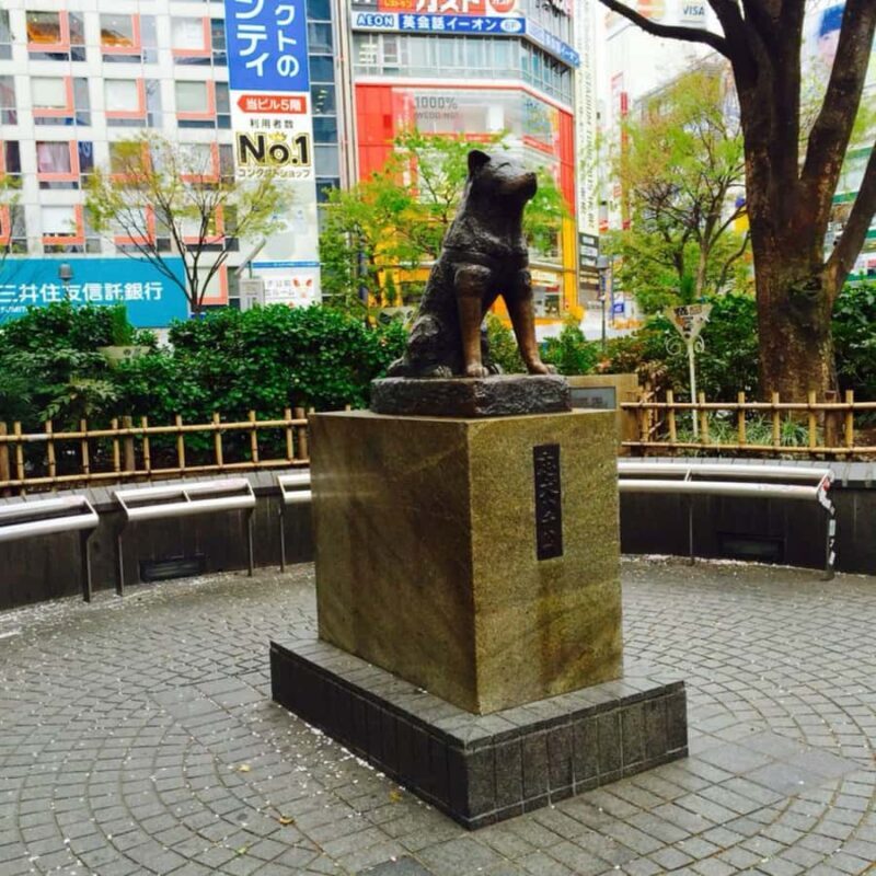 Private Tokyo City Tour English Guide Hotel Return Transfer - Is This Tour Right for You?