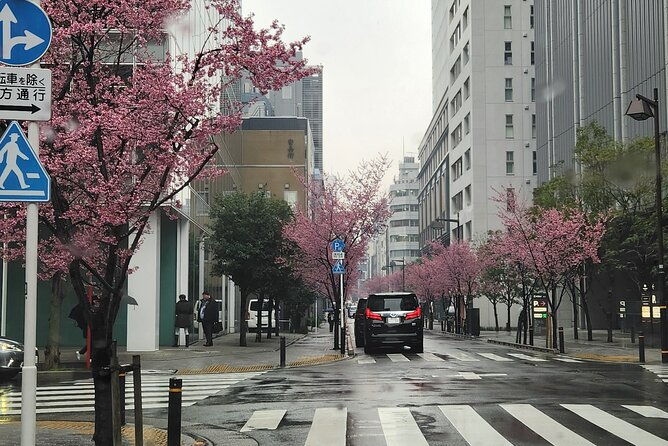 private-tokyo-city-tour-with-english-speaking-guide