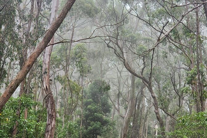 private-tokyo-city-tour-with-english-speaking-guide