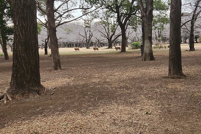 private-tokyo-city-tour-with-english-speaking-guide