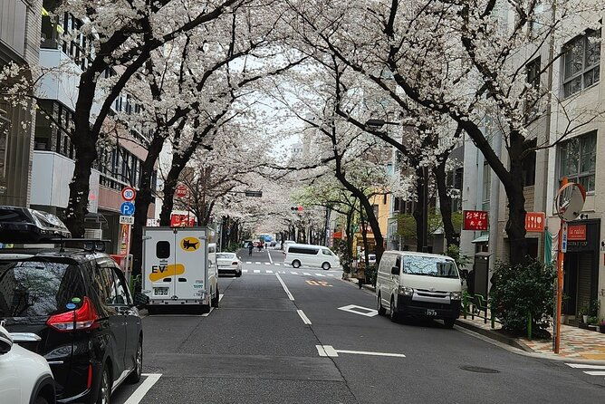 private-tokyo-city-tour-with-english-speaking-guide