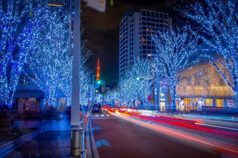 Private Tokyo Holiday Lights & Christmas Market Walk - Introduction: Why This Tour Stands Out in Tokyo